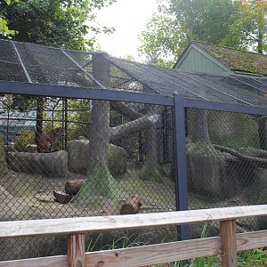 Jaguar's Exhibit