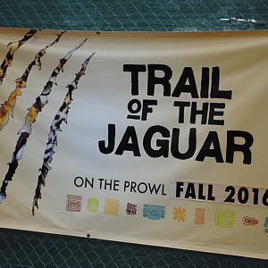 Upcoming Trail of the Jaguar Exhibit