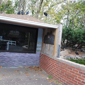 Capybaras' Indoor Holding