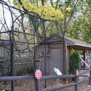Squirrel Monkeys' Exhibit