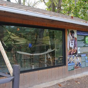 Squirrel Monkeys' Indoor Holding