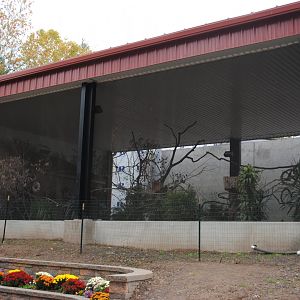 Sun Conures Walk-through Aviary