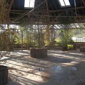 Interior of Lorikeet aviary, 22nd October 2016