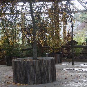 Interior of Lorikeet aviary, 22nd October 2016