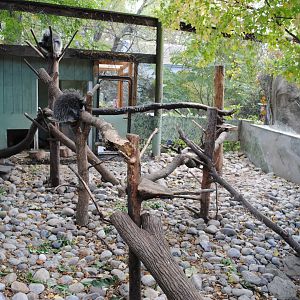 North American Porcupines' Exhibit