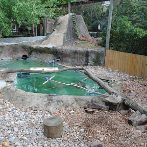 North American Otters' Exhibit