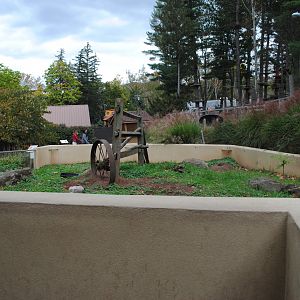 Prairie-Dogs' Exhibit