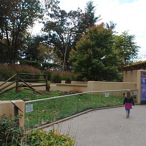 Prairie-Dogs' Exhibit