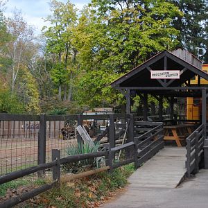 Bison Exhibit (Viewing Area)