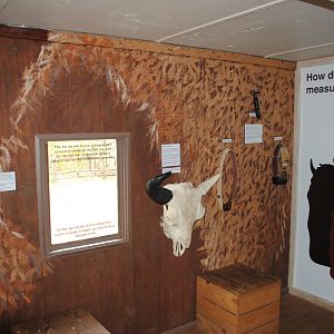 Union Pacfic Railroad Car Interior