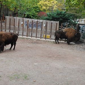Exhibit View from the Union Pacfic Railroad Car