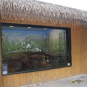 Red Pandas Exhibit - Indoor Holding