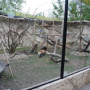 Red Pandas Exhibit