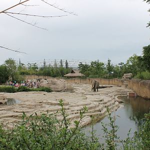 Jungola - Asian elephant outdoor enclosure