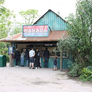 Jungola - Little shop