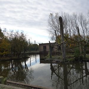 L'Hoests Monkey and Pilated Gibbon Islands