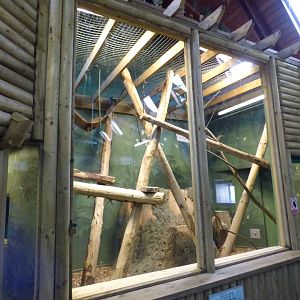 Indoor Pilated Gibbon House