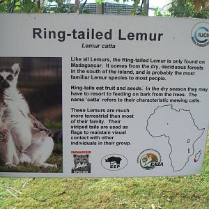 Example of Signage - 16 October 2016