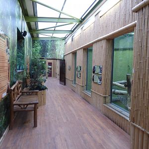 Upper Viewing Area of Orangutan Outlook