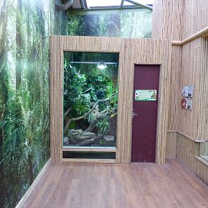 Asian Water Dragon Enclosure in Orangutan Outlook