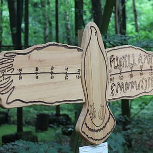 Life-seized Sea-eagle model