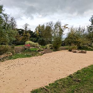 Cheetah Enclosure - 27/10/2016