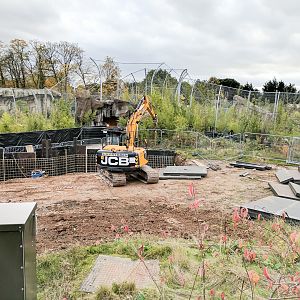 Islands Construction - 27/10/2016