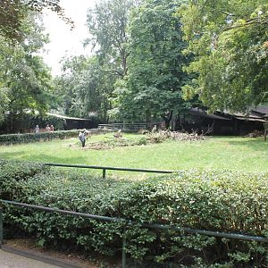 Marabou and Vulture enclosure