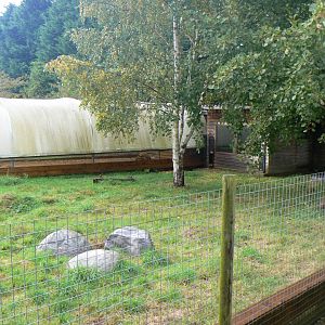 Southern Aardwolf Enclosure - 16 October 2016