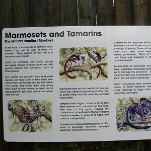 Signage - 16 October 2016