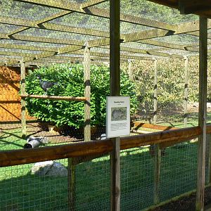 View of an Aviary/ Mammal Enclosure - 16 October 2016