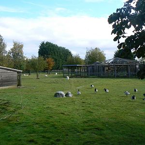 View - 16 October 2016