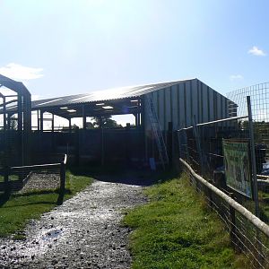 View of Construction Work on the New Nocturnal House- 16 October 2016