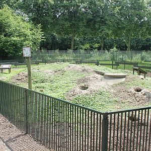 Prairiedog-enclosure