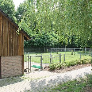 Enclosures domesticated animals