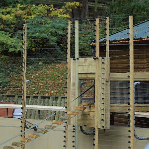 Access to new howler monkey house