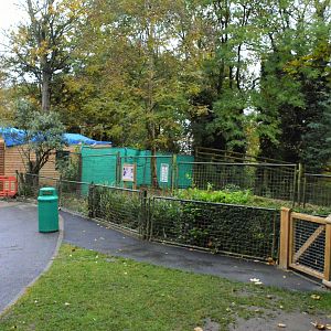 Another new giant anteater enclosure and house.