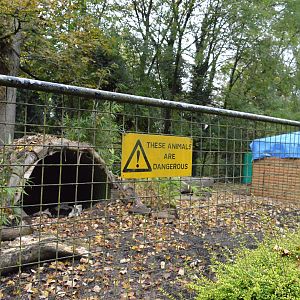 New anteater enclosure under construction