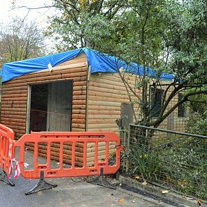 New giant anteater house