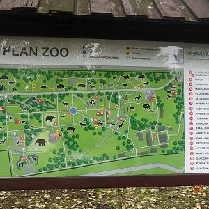 Warsaw Zoo 23.10.16