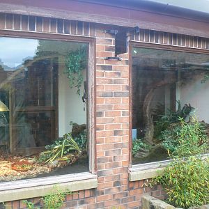 View of New Reptile Exhibits - 26 October 2016