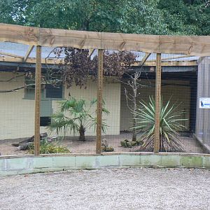 Finished Rebuilt Aviary - 16 October 2016
