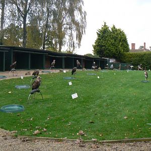 View of the 'Eagle Lawn' - 27 October 2016