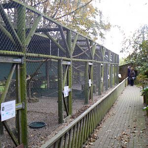 View of Owl Aviaries - 27 October 2016