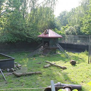 Raccoon Enclosure