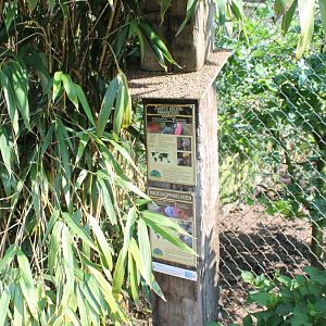 Signs Crowned crane and Guineafowl