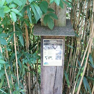 Sign Serval