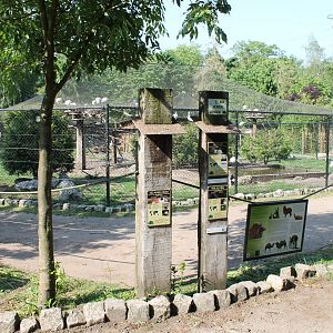 Wader Aviary