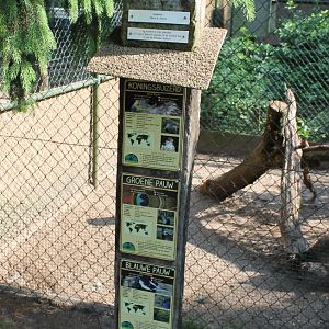 Peacock and Buzzard signs