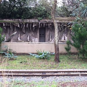 What animal inhabited this enclosure?